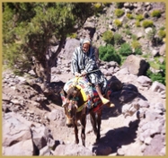 Atlas Mountains Trek