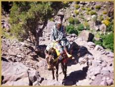 Atlas Mountains Trek