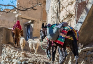 Atlas Treks berber trek