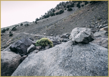 Toubkal treks