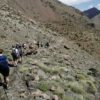 Morocco Atlas Trekking Package