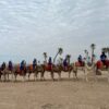 Sahara Desert Tour From Casablanca 5 Days