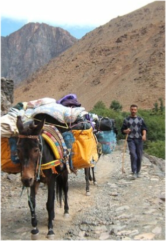 trekking-chefchaouen-sahara,Rif mountains hiking,Chefchaouen day trips trekking-chefchaouen-sahara,Rif mountains hiking,Chefchaouen day trips