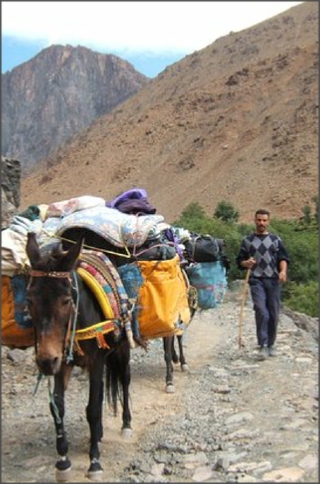 trekking-chefchaouen-sahara,Rif mountains hiking,Chefchaouen day trips